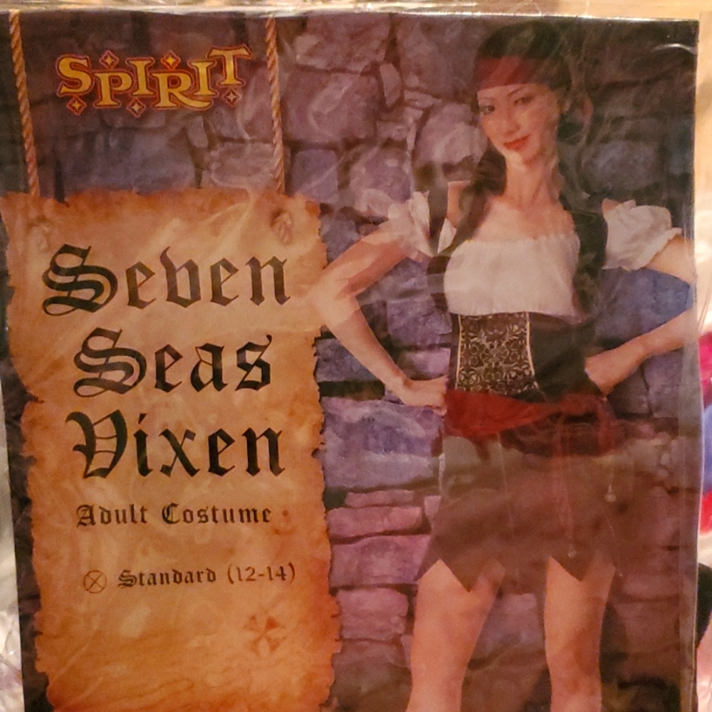 Spirit of Halloween Costume - Sebrn Seas Vixen